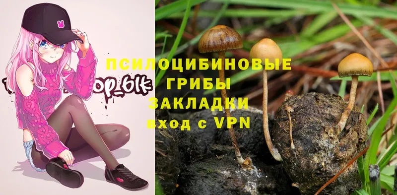 Галлюциногенные грибы Magic Shrooms  Володарск 